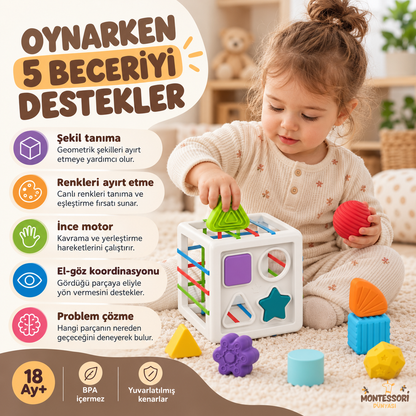 Montessori Şekil Eşleştirme Küpü