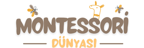 Montessori Dünyası